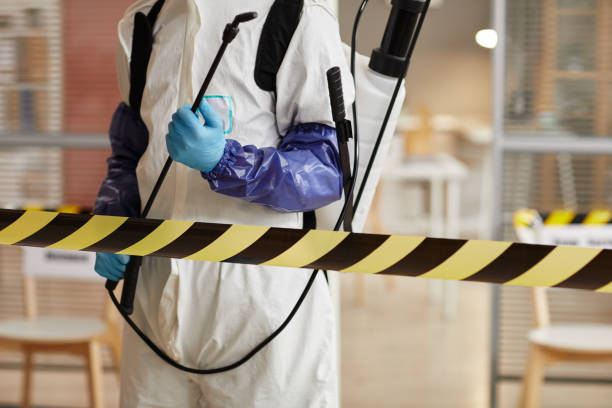 Professional Biohazard technician working in Ozone, AR
